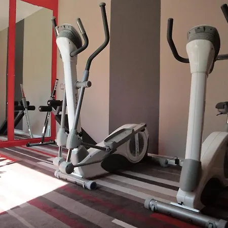 Ibis Centre 3* Alès
